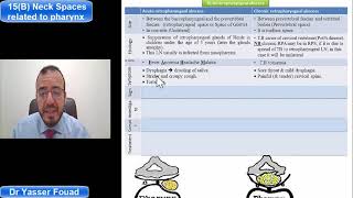 15 Neck spaces related to the pharynx Part B [upl. by Sitra]