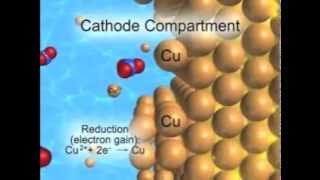 CuZn Electrochemical Cell Animation [upl. by Buote]