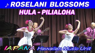 Roselani Blossoms Hula Pilialoha 演奏 IAPANA バードランド 2023  11 [upl. by Lebazi]