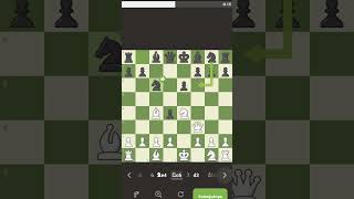 chess opening scholar checkmate bagi pemula agar menang cepat [upl. by Clio]