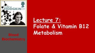 Blood Biochemistry  Folate and Vitamin B12 Metabolism [upl. by Gorrian]