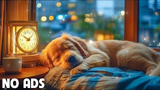 12 Hours Anti Anxiety Music For Dogs 🐶 Stress Relief Music For Dogs ♬ Calming Music For Dogs [upl. by Onder]