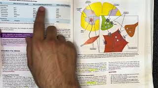 Skeletal muscle relaxants pharma  katzung chap 27 part 23 [upl. by Adraynek]