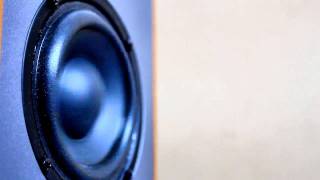 Speaker in slow motion [upl. by Nevile]