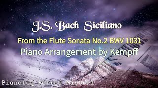 JS Bach Siciliano Piano transcription by Kempff  BWV 1031 [upl. by Ayor785]