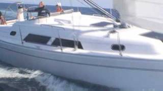 HANSE 370  SAILBOAT YACHT [upl. by Ateekahs]