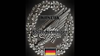 WOSTOK  Fallschirmjäger 16 Bars prod by pvscbeatz [upl. by Ardnua181]