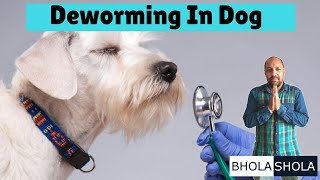 Deworming  Dewormed  Deworm  In Dogs  Puppys  Bhola Shola [upl. by Nryhtak380]