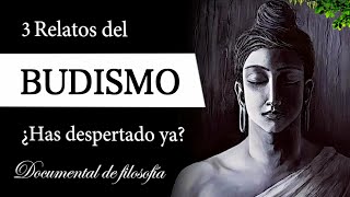 3 RELATOS BUDISTAS Documental de Filosofía  ¿Qué es la PAZ PERFECTA y la CONCIENCIA MORAL [upl. by Nilad536]