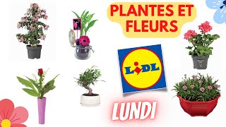 💥 ARRIVAGE LIDL💥 PLANTES ET FLEURS  25 avril 2022  28 OFFRES  FRANCE [upl. by Nared]