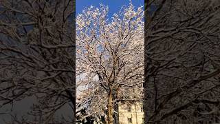 Sarajevsko zimsko jutro sarajevo Bosna i Hercegovina bosnia winter snow bosniaandherzegovina [upl. by Buchanan]