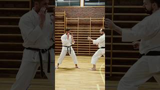 Kumite Setting up the side kick karate shotokan martialarts kicking tips coaching [upl. by Antoni]