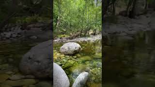 Au cœur de la montagne corse à Corte au bord de la rivière de la Restonica [upl. by Anni]