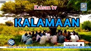 Wararka Kalsan Tv By Maxamed Salaaad 9112024 [upl. by Jazmin858]