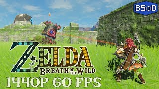 The Legend of Zelda Breath of the Wild  Perfect 60 FPS at 1440p Resolution Cemu 1132 [upl. by Aicile]