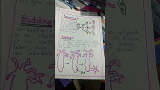 asexual reproduction in different organisms modes of reproduction used by single organism [upl. by Morley]