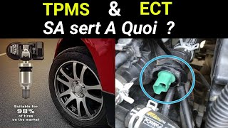 les capteurs  TMPS amp ECT sa sert à quoi  RÔLE [upl. by Muhammad350]