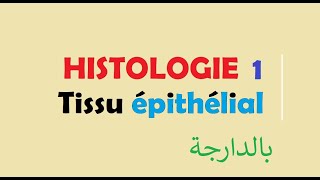 cours HISTOLOGIE Ep 1  Tissu épithélial [upl. by Lexis]