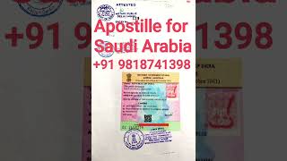 Apostille Services in Delhi India JayaInternational [upl. by Matrona410]