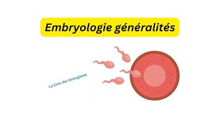 Embryologie généralités [upl. by Admana]