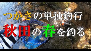 【渓流ミノー】つかさ単独釣行。たまには数釣りも！おっちょこちょいもあるよ！ [upl. by Anotyal]