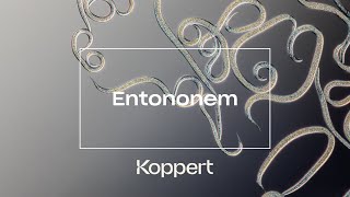 Entonem Koppert [upl. by Knowles535]