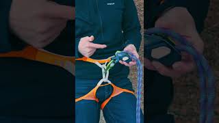 The best new belay device The Edelrid Pinch gymclimbing climbing [upl. by Huesman813]