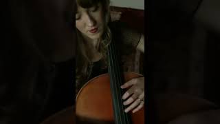 SaintSaëns  The Swan  classicalmusic cello piano [upl. by Spense]