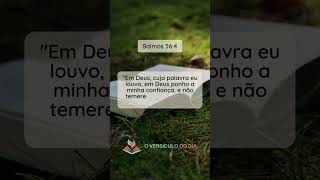 📖 Salmos 564  O Versículo do Dia 🙏 [upl. by Arihaz224]