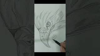 Eagle Head Sketch with Shading Tips shortvideo pencildrawing art pencilart sketch drawing [upl. by Malinowski402]