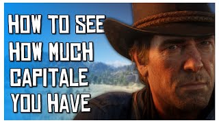 How To See How Much Capitale You Have  Red Dead Online  RDR2 [upl. by Sharp853]