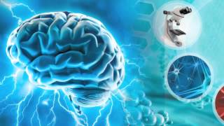 Grow New Brain Cells with Taurine Improve a Congestive Heart and Metabolic Syndrome [upl. by Alyag]