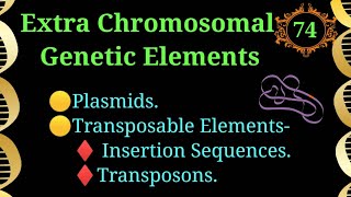 Extra Chromosomal Genetic Elements microbiology chromosome dna plasmid vbs EnteMicrobialWorld [upl. by Keelin]