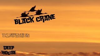 black crane by djstfaction  1 hour house set  dj set [upl. by Ebaj]