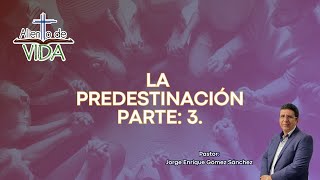 LA PREDESTINACIÓN PARTE 3 [upl. by Teiluj]