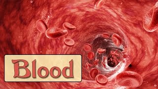 Easy Physiology  Blood  1Hemostasis amp Coagulation Cascade [upl. by Aniretac]