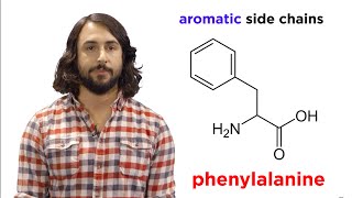 Amino Acids [upl. by Adiari]