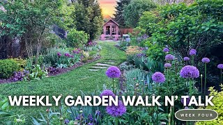 May Garden Tour  Alliums Bearded Iris Late Tulips Lilacs Geums Azalea Repetition Plantings [upl. by Avid]