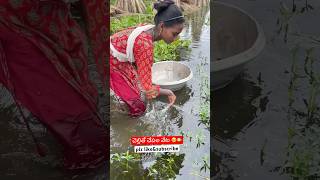 చెల్లితో చేపల వేట🥲🐠DAY11fishing fishermanlifestyle village fishinglifefishingvideo ytshorts [upl. by Ashley]