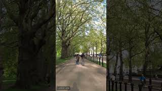 Hyde Park Corner to Buckingham Palace Evening Walk  London Lens Walking Tour 4K Short 10 [upl. by Retxed]