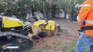 RoboMAX  Fresa Ceppi  Stump Grinder  Energreen Professional Machines [upl. by Eadwine]