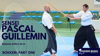 Pascal Guillemin bokken part one in Brescia [upl. by Milon]