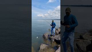 അടി തുടങ്ങിയാൽ പിന്നെ നോക്കണ്ട fishing seafishing fishingmalayalam fish shorts fisherman [upl. by Eliam]