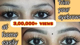 How to Shape Eyebrows at Home in Tamil  Easy DIY Eyebrow Trimming [upl. by Conal]