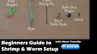 Beginners Guide to Worm and shrimp fishing for salmon Tackle setup and bait [upl. by Yrehc]