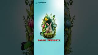 Paste fericit shorts by Petry video [upl. by Enovahs]