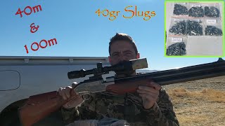 Sumatra slug testing in 22 cal 3440gr slugs [upl. by Secunda]