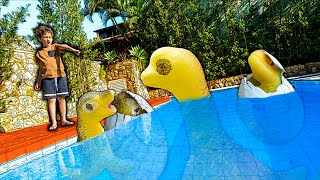 JOGAMOS OVOS DE DINOSSAURO QUE CRESCEM NA PISCINA  Vídeo Infantil  Paulinho e Toquinho [upl. by Rosalinda175]