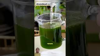 resep escendolkekinian food cendol idejualan eskristal matcha cendoldurian wafercendol [upl. by Eitsyrk]