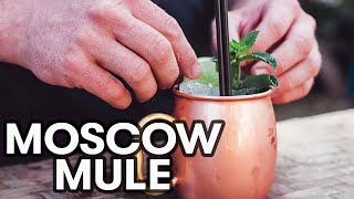 Beginner cocktails Moscow Mule [upl. by Eanram]